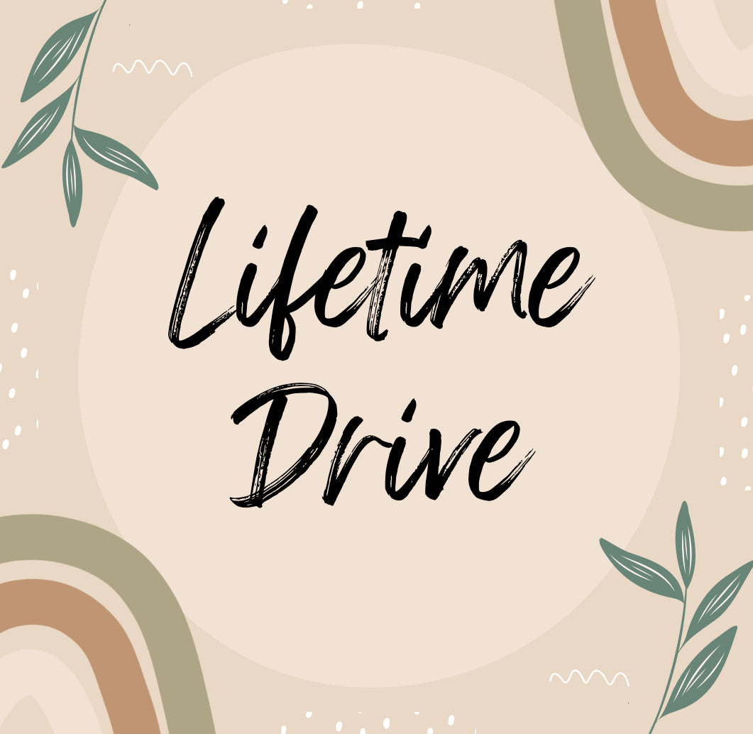 Lifetime Seamless Drive