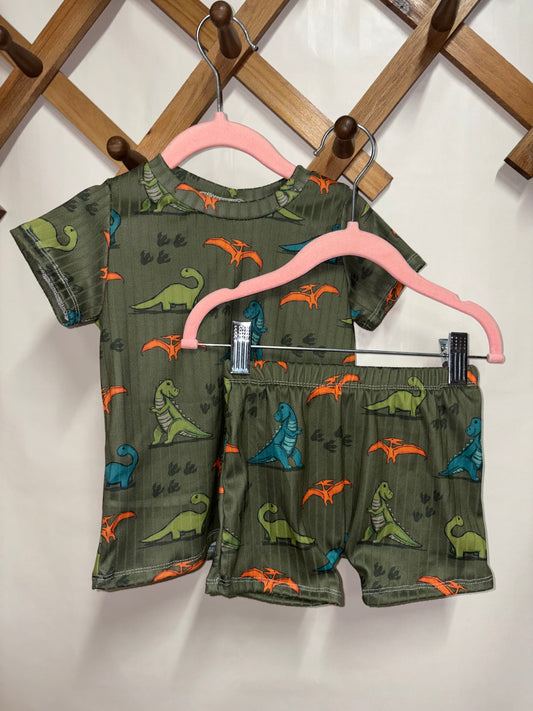 Dino basic tee set (2t)